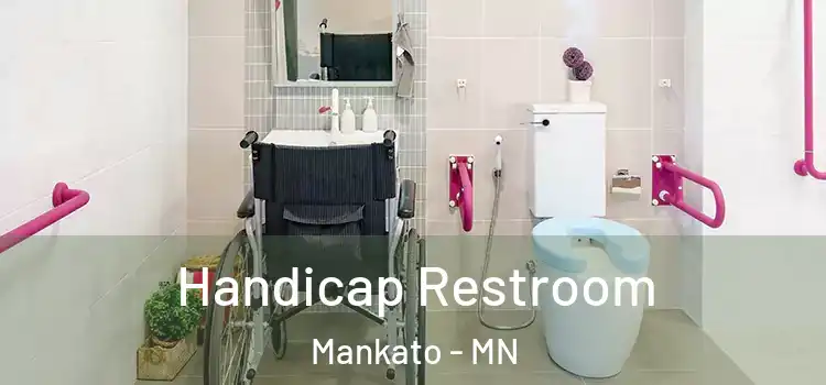  Handicap Restroom Mankato - MN