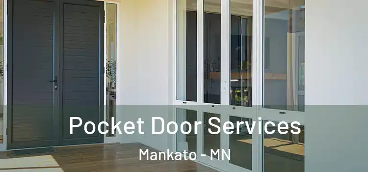 Pocket Door Services Mankato - MN